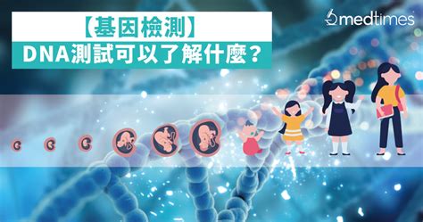 如何查歷代祖先|免費家譜、族譜、家族史以及 DNA 檢測